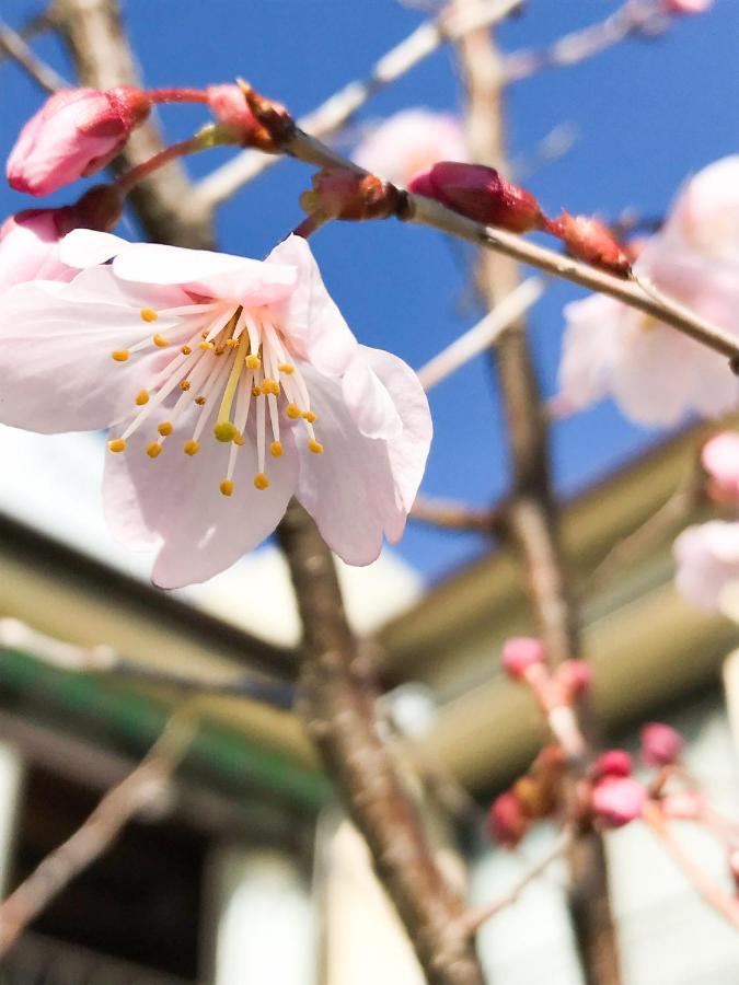 Guesthouse Nishihara Atami (Shizuoka) Exterior foto